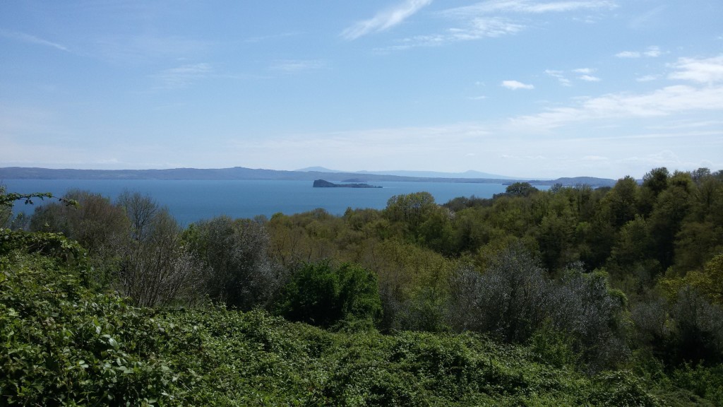 panorama