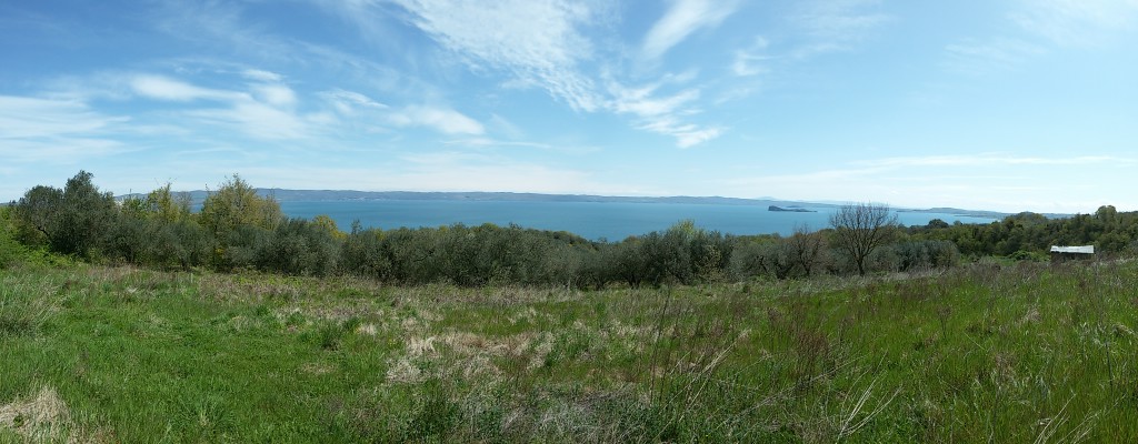 panoramica