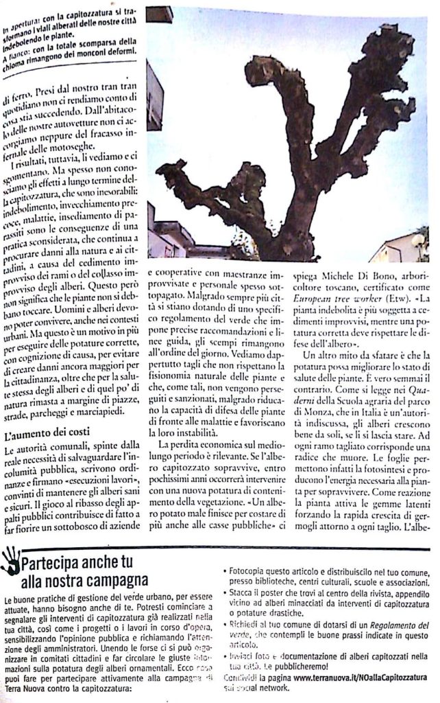 Capitozzatura (articolo terranuova)_2