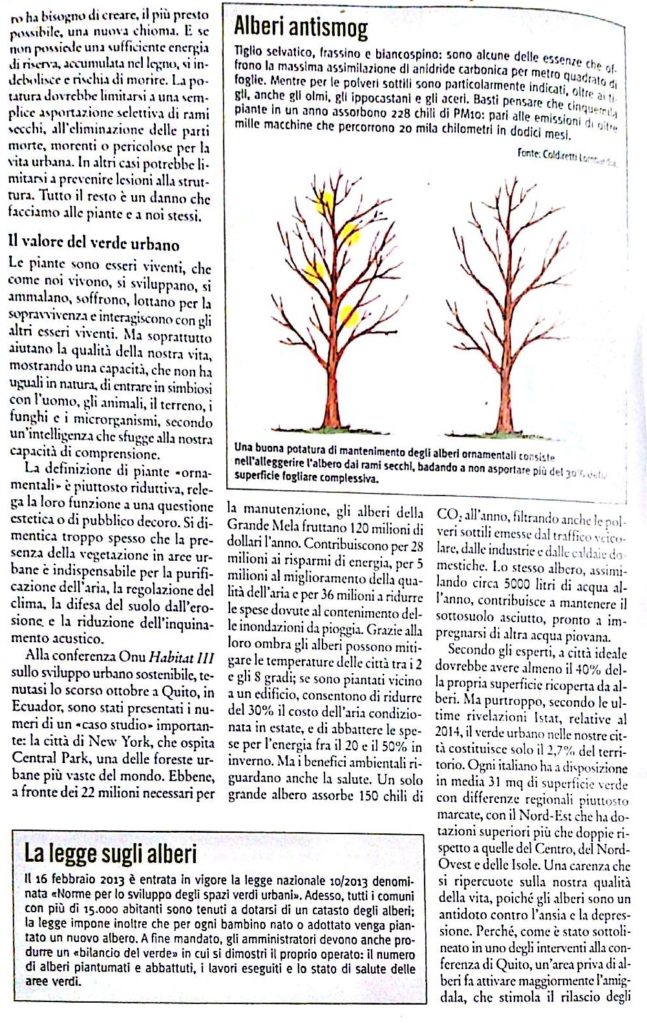 Capitozzatura (articolo terranuova)_3